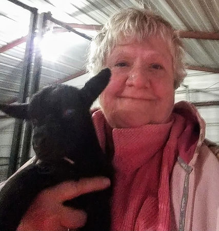 All baby goats are adorable